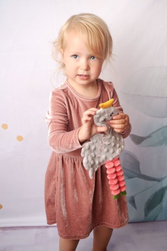 Łabędź Naila 2.jpg