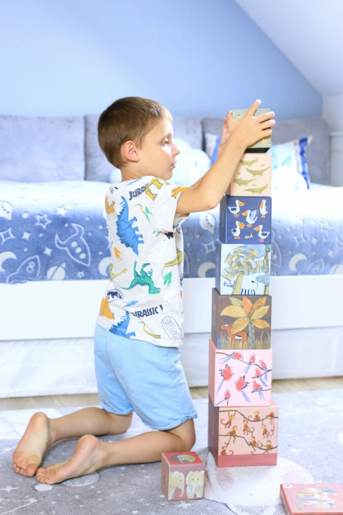 Dżungla Egmont Toys - Piramida tekturowa