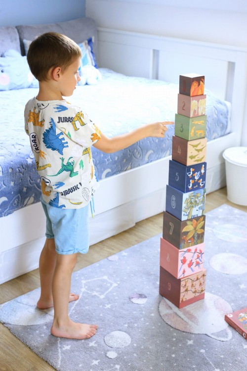 Dżungla Egmont Toys - Piramida tekturowa