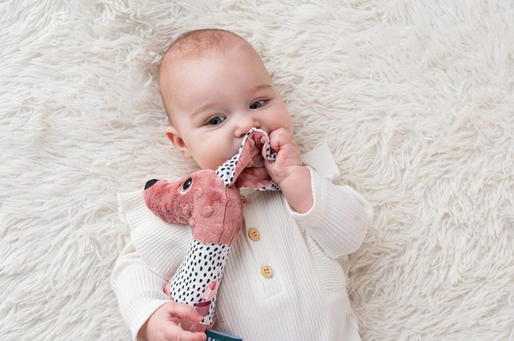 Jamiś Mom's Care - Pastelowy piszczek z gryzakiem Świat Mądrego Dziecka