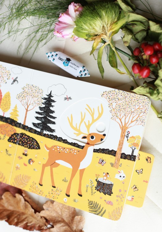 Las. Niesamowity spacer. Akademia mądrego dziecka