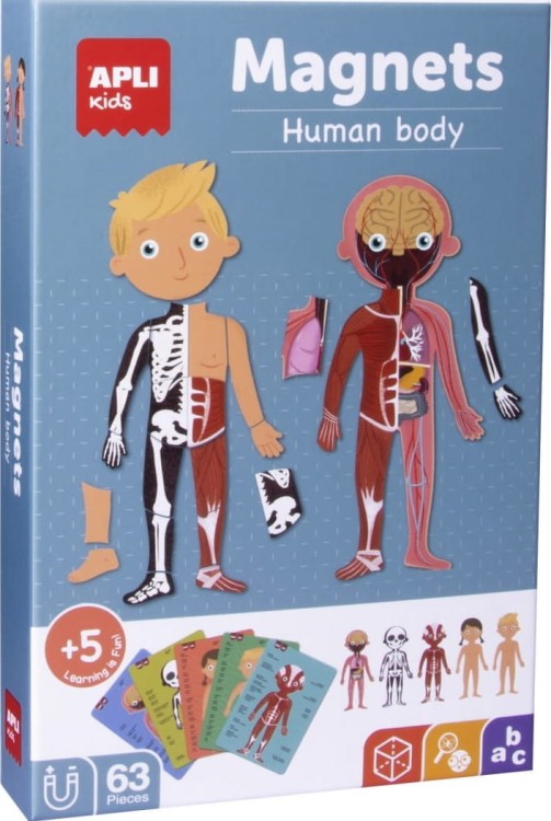 Magnetyczna układanka Apli Kids - Ciało człowieka