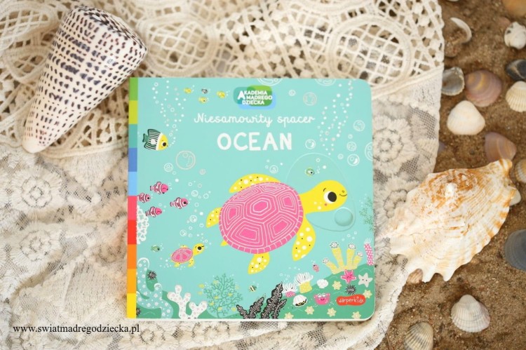 Ocean. Niesamowity spacer. Akademia mądrego dziecka - Książka dla dzieci