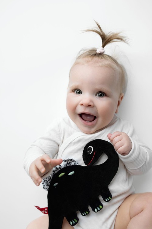 Dinozaur szeleszcząca szmatka kontrastowa dla niemowląt Mom's Care