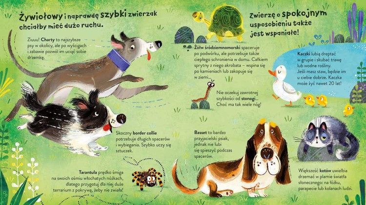 Jakie zwierzę wybrać - książka dla dzieci